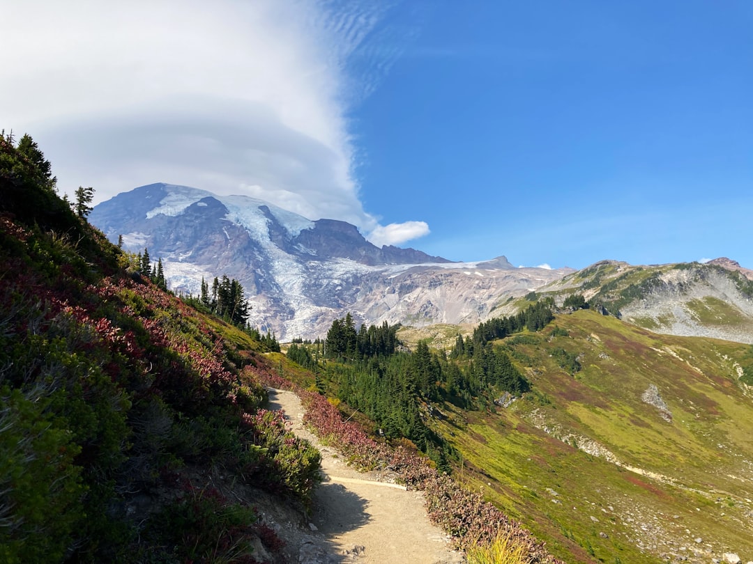 Discovering the Swiss Alps: A Winter Wonderland Adventure