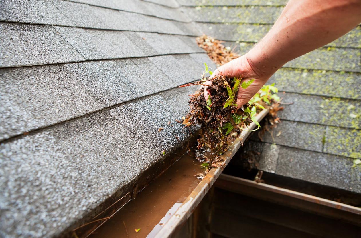 Clogged Gutters, Costly Repairs Why JR One’s Expert Gutter Cleaning Saves You More Than Just Time